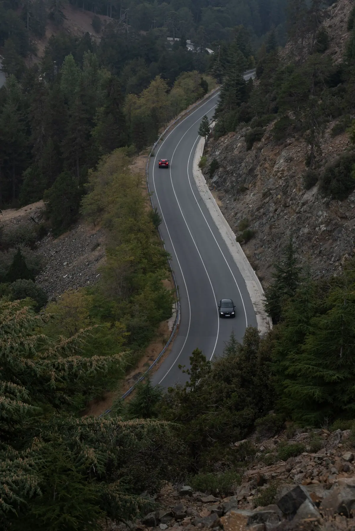 A winding road through the pine forests of the Troodos mountains